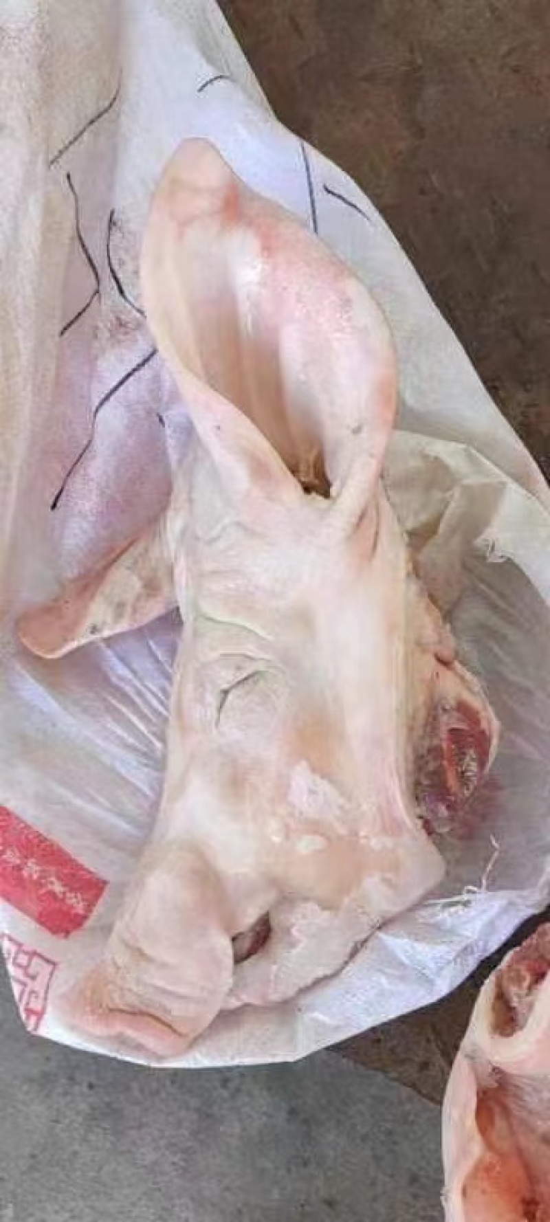 猪头母猪头肥猪头，一级，二级带耳头，无耳头，东北货好