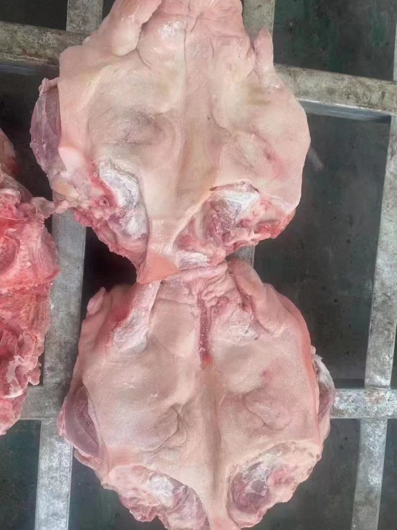 猪头母猪头肥猪头，一级，二级带耳头，无耳头，东北货好