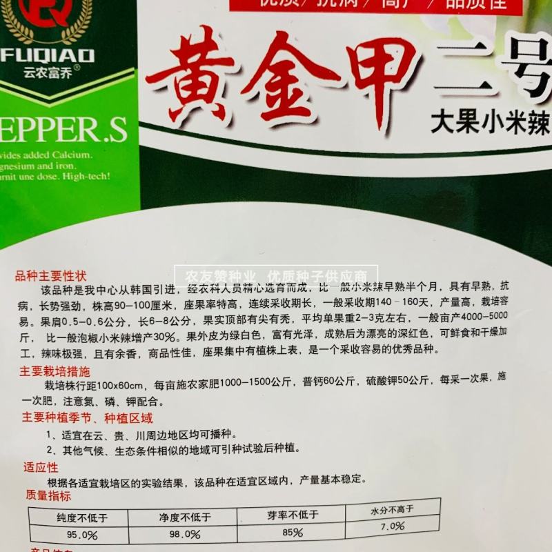 新品种升级黄金甲二号大果型小米辣种子早熟高产泡椒种子特辣