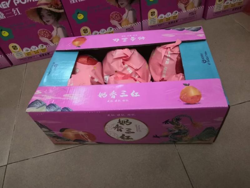福建平和三红柚