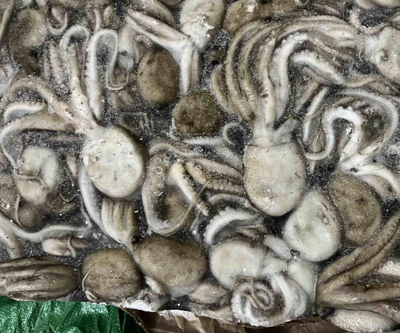八爪鱼🐙
