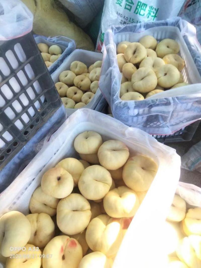 蟠桃