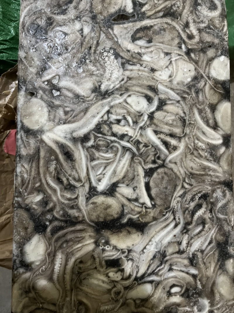 八爪鱼🐙