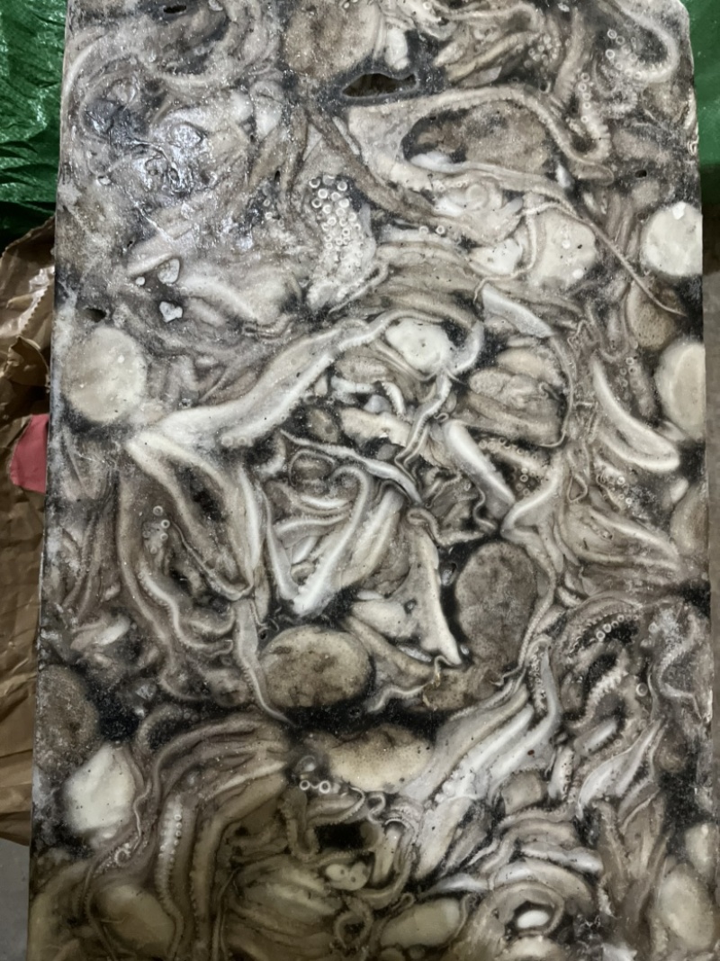 八爪鱼🐙