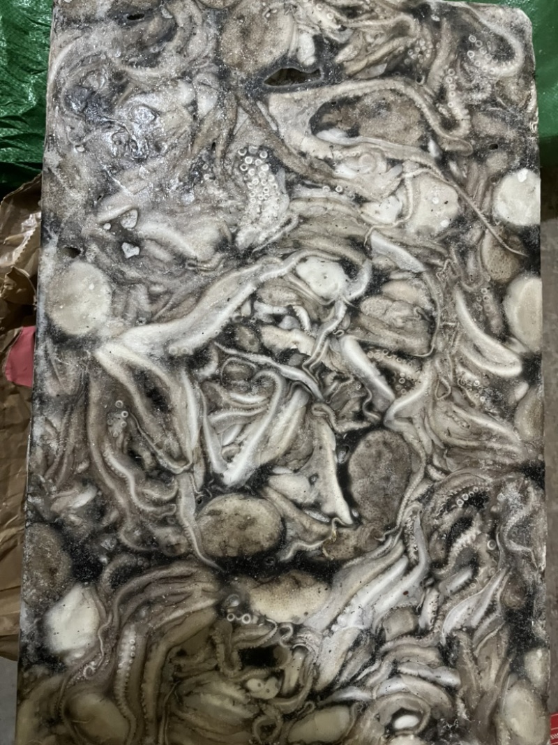 八爪鱼🐙