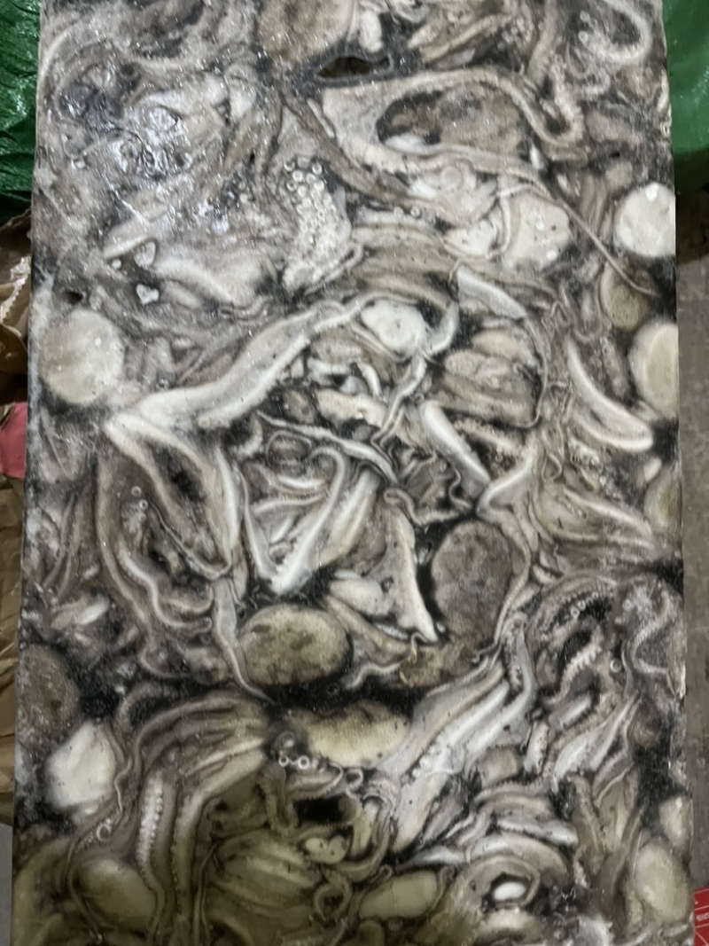 八爪鱼🐙