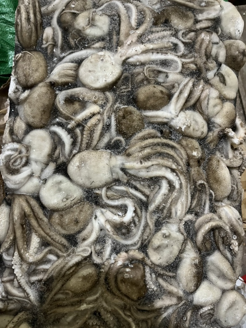 八爪鱼🐙
