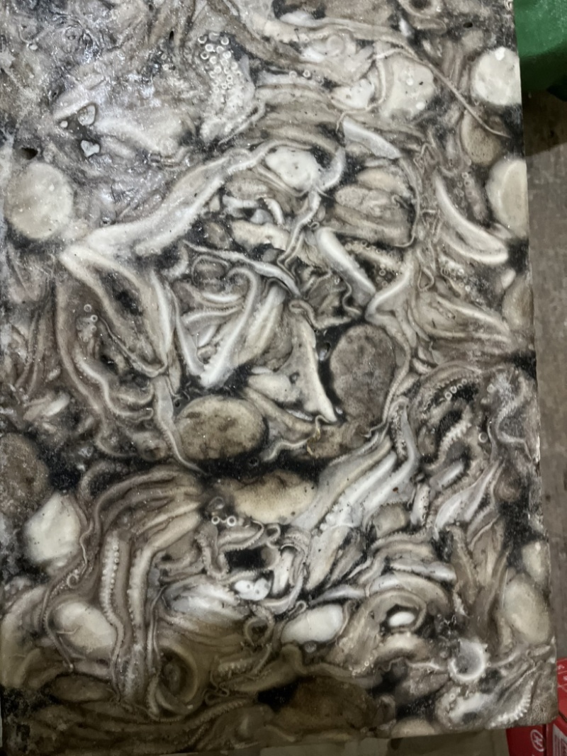 八爪鱼🐙