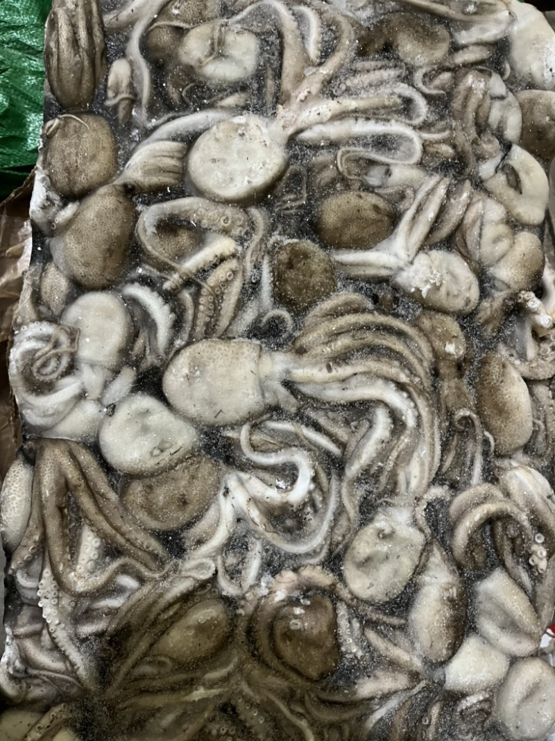 八爪鱼🐙
