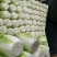 山西白菜精品黄心白菜产地直供量大从优实力代发全国