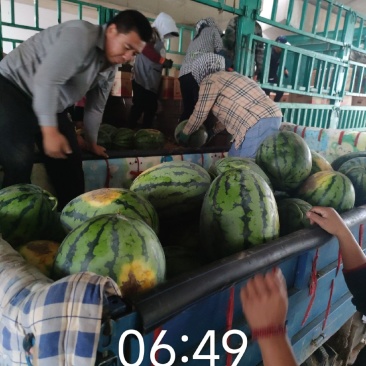 甜王西瓜