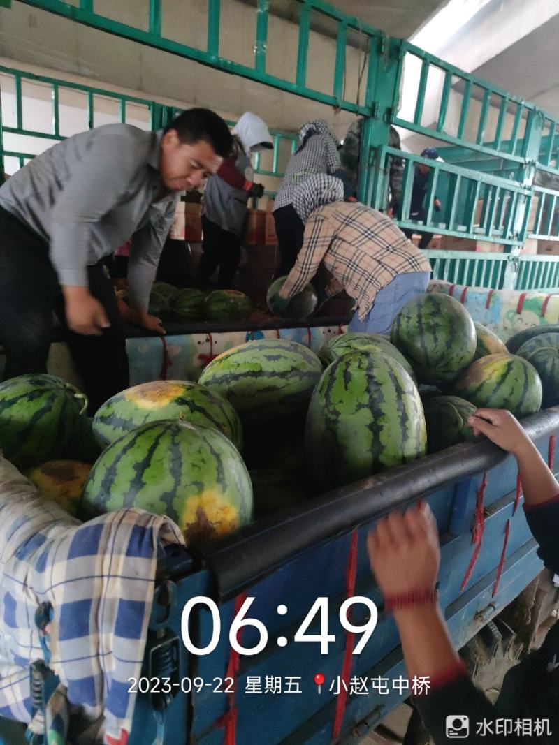 甜王西瓜