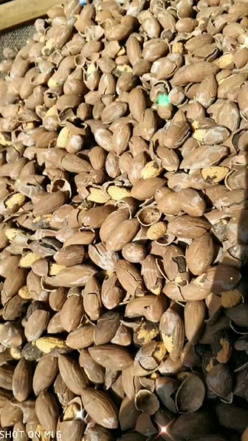 老树香榧香榧肉香榧仁产品齐全一手货源物美价廉支持视频看货