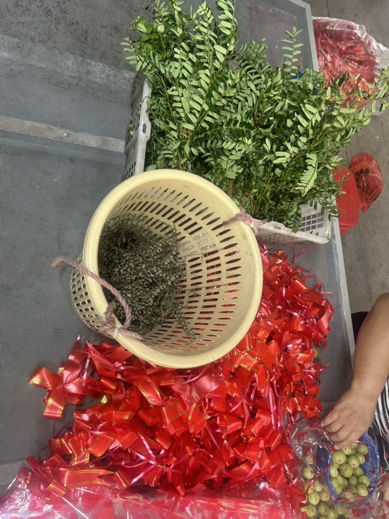 油柑花纯手工制作而成是过中秋必备神器已经和多家超市合作