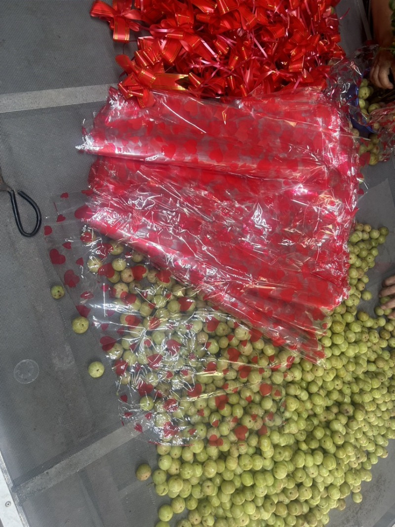 油柑花纯手工制作而成是过中秋必备神器已经和多家超市合作