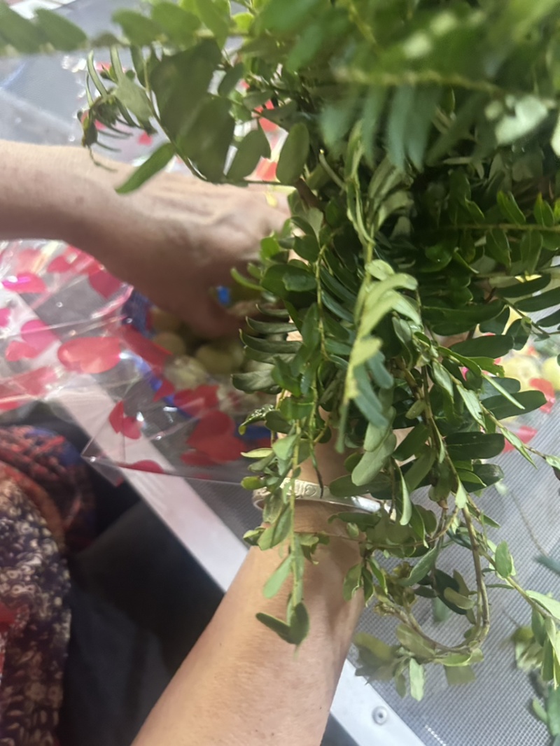 油柑花纯手工制作而成是过中秋必备神器已经和多家超市合作