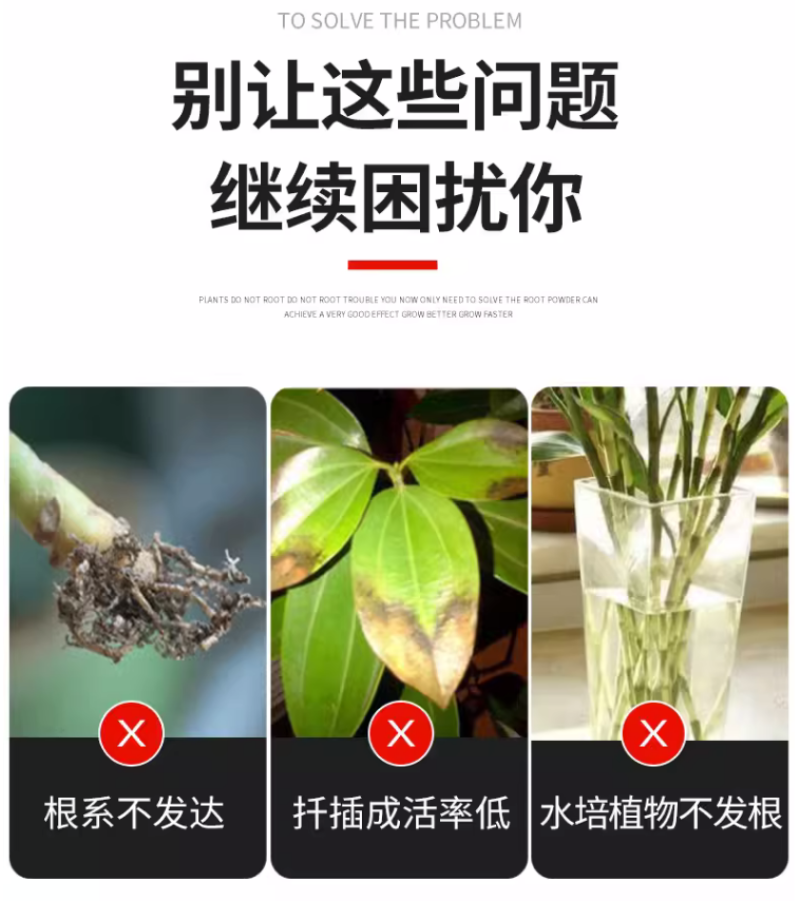 爆根粉强力生根壮苗剂养根壮根爆发生根扦插移栽