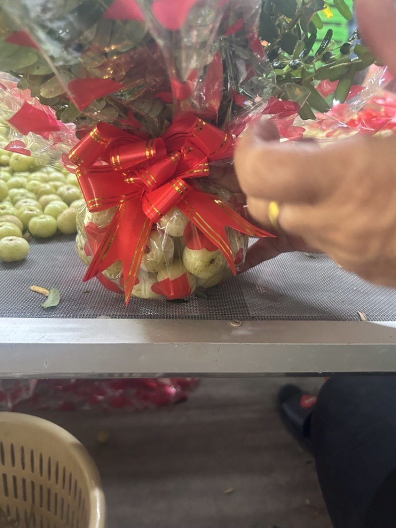 余柑（余甘果、牛柑果）果花是中秋当季单品之一