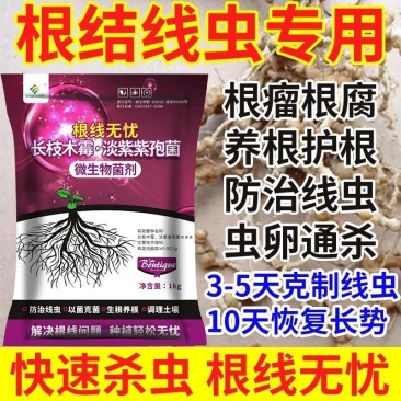 专治根结线虫淡紫拟青霉菌淡紫紫孢菌防治根结线虫养根护根