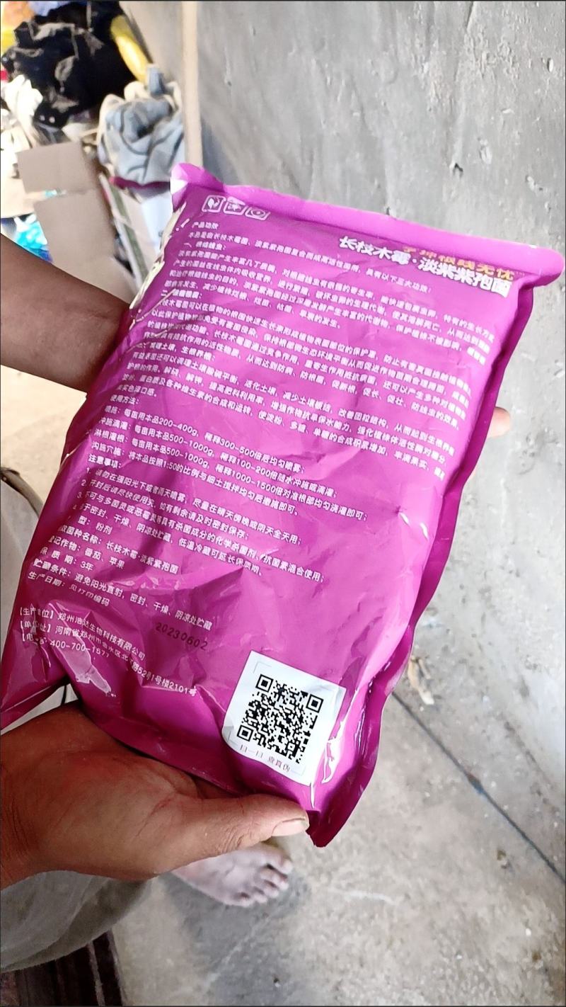专治根结线虫淡紫拟青霉菌淡紫紫孢菌防治根结线虫养根护根
