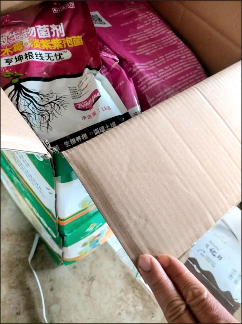 专治根结线虫淡紫拟青霉菌淡紫紫孢菌防治根结线虫养根护根