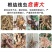 专治根结线虫淡紫拟青霉菌淡紫紫孢菌防治根结线虫养根护根