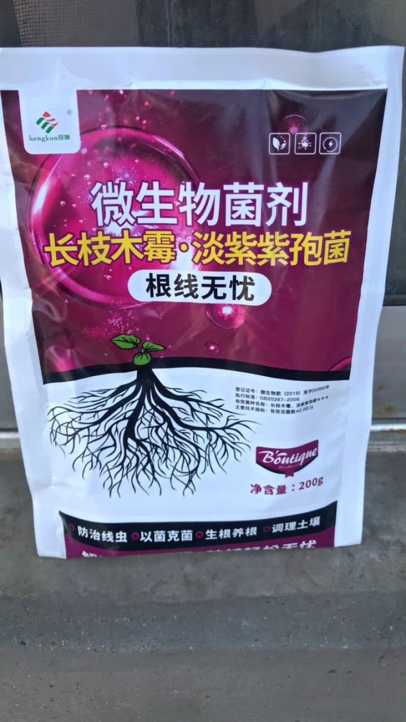 专治根结线虫淡紫拟青霉菌淡紫紫孢菌防治根结线虫养根护根