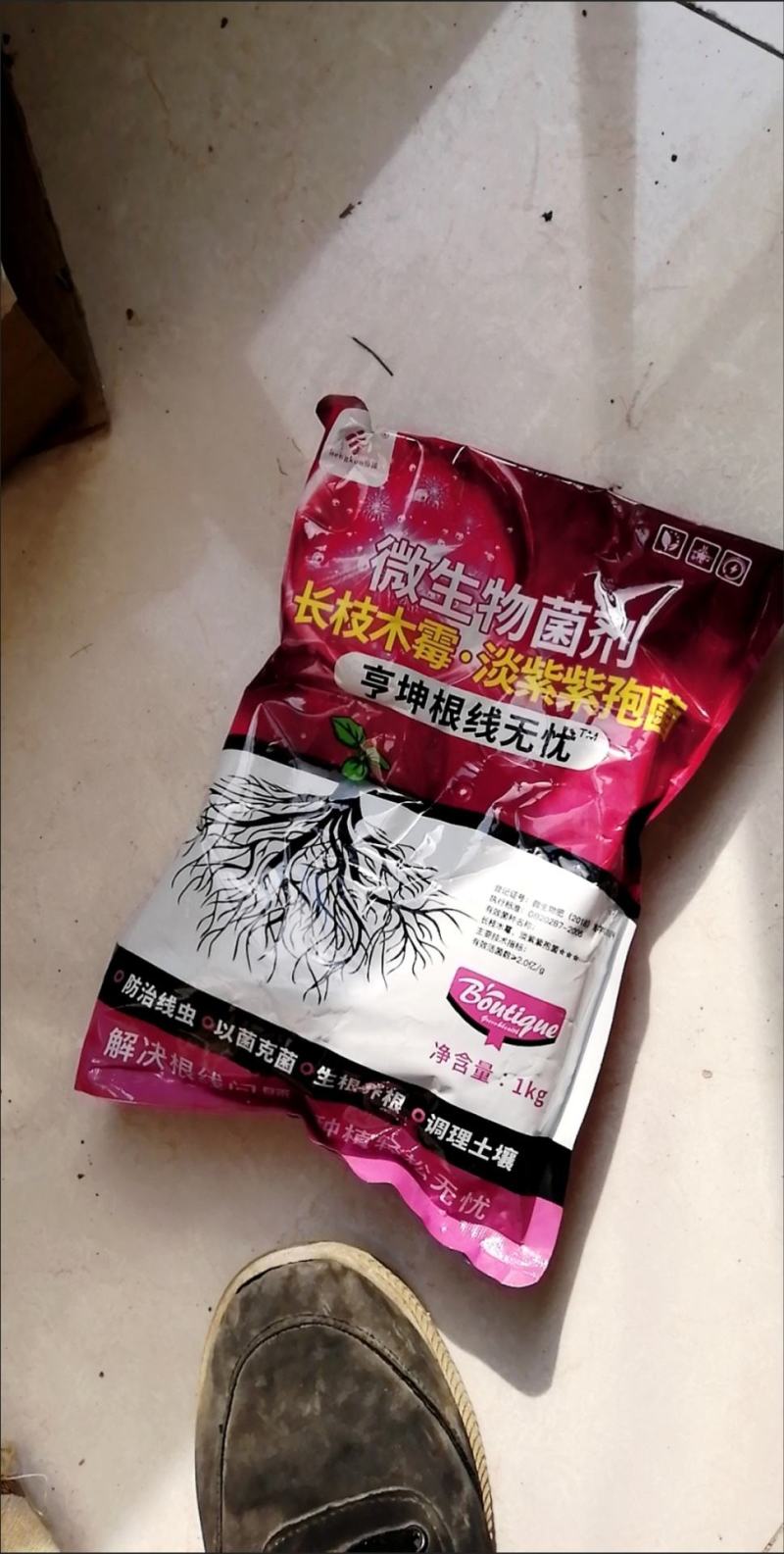 专治根结线虫淡紫拟青霉菌淡紫紫孢菌防治根结线虫养根护根