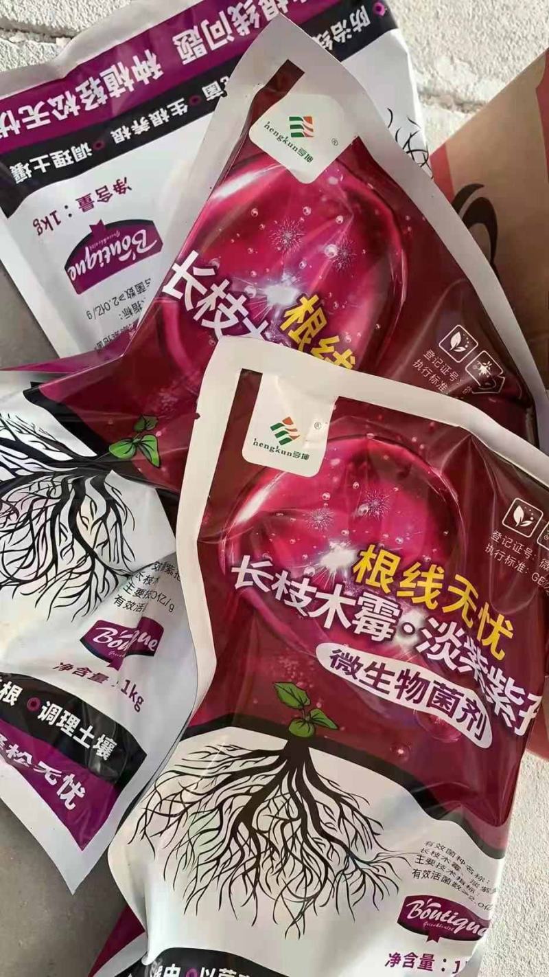 专治根结线虫淡紫拟青霉菌淡紫紫孢菌防治根结线虫养根护根