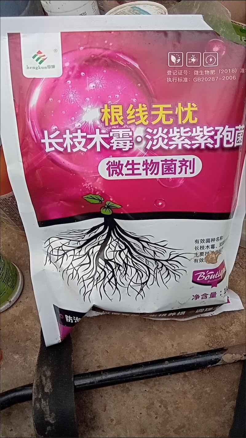 专治根结线虫淡紫拟青霉菌淡紫紫孢菌防治根结线虫养根护根