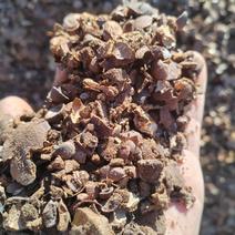 基质肥，山茶子壳，疏松土，大量供应