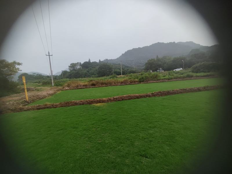 精品马尼拉