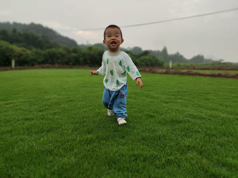 精品马尼拉