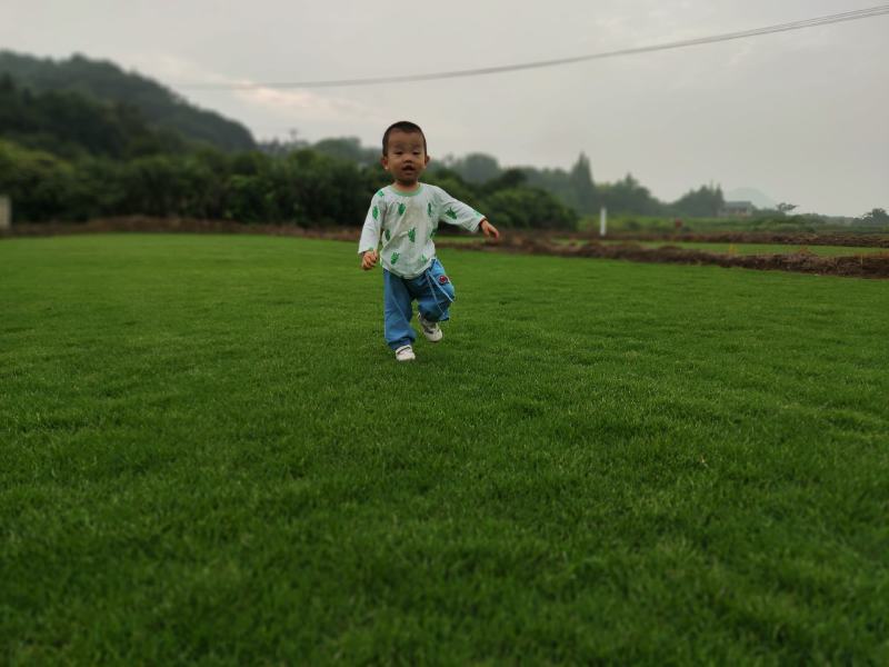精品马尼拉