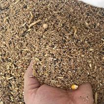 小麦碎小麦杂粮供应养户和做饲料厂商