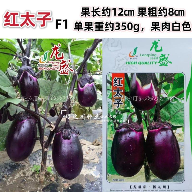 龙盛红太子茄子种子一代杂交早熟果肉白色紫红圆茄种子