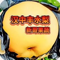 汉中丰水梨黄金梨套袋日供3O万斤】自产自销代发全国现货