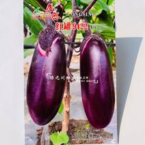 紫罐紫红特大罐茄种子紫红色茄子种子红罐9422茄种籽高产