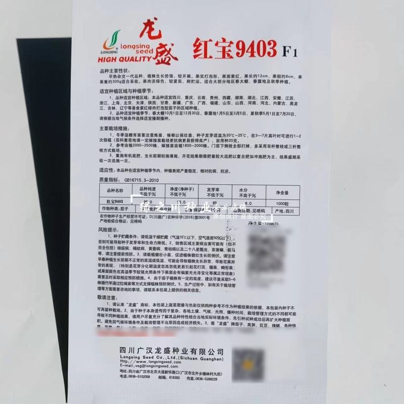 红宝9403紫红绿肉灯泡茄种子早熟紫红茄种籽春秋两季基地