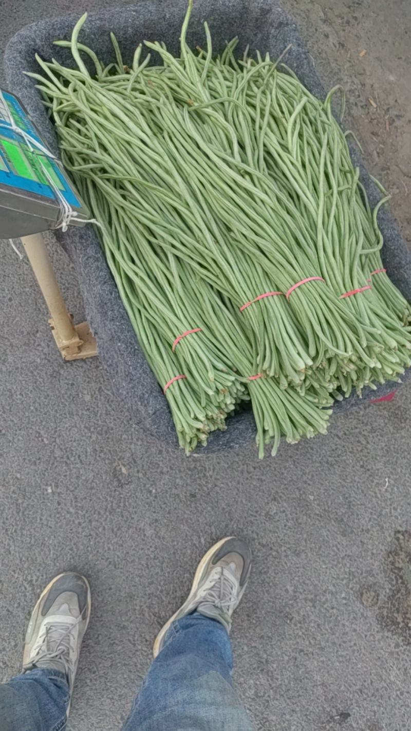 精品豆角，欢迎全国各地新老朋友前来选购。