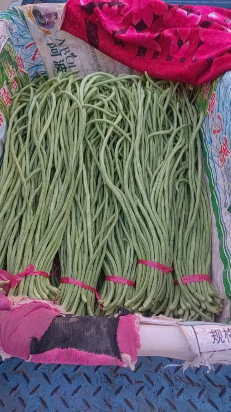 精品豆角，欢迎全国各地新老朋友前来选购。