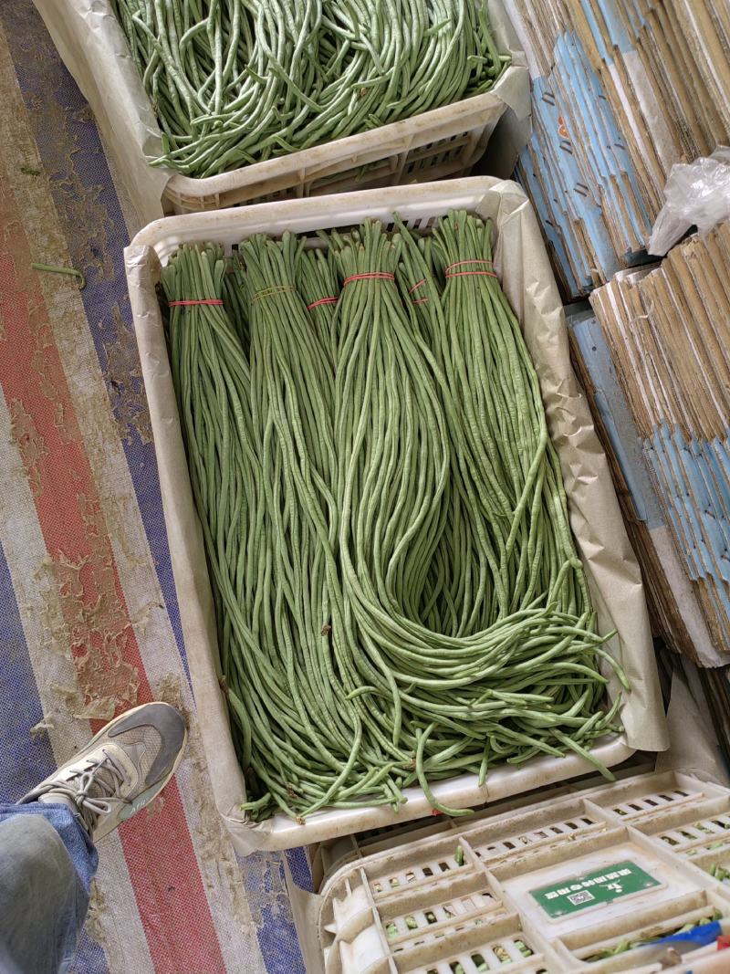 精品豆角，欢迎全国各地新老朋友前来选购。