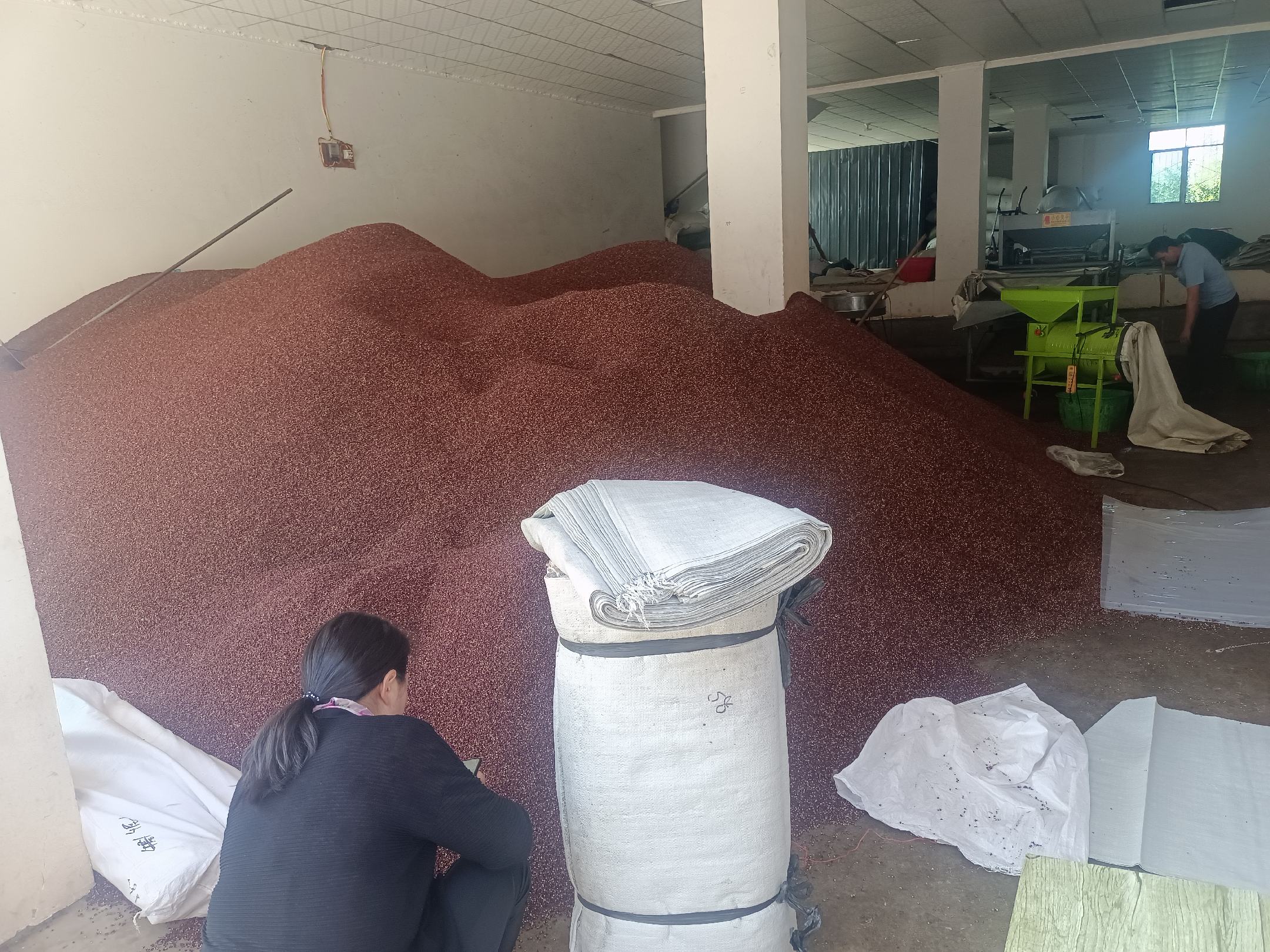 黑胡椒碎生产车间