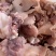 【精选牛头剔骨肉】精品熟牛肉大量供应产地批发劲道美味