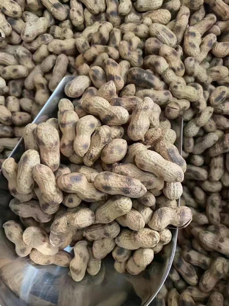 河源原味炒花生新货现沙炒花生