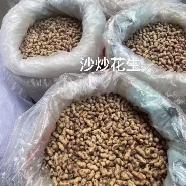 河源原味炒花生新货现沙炒花生