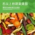 网红果蔬脆片综合果蔬干混合装蔬菜干多种水果干儿童孕妇零
