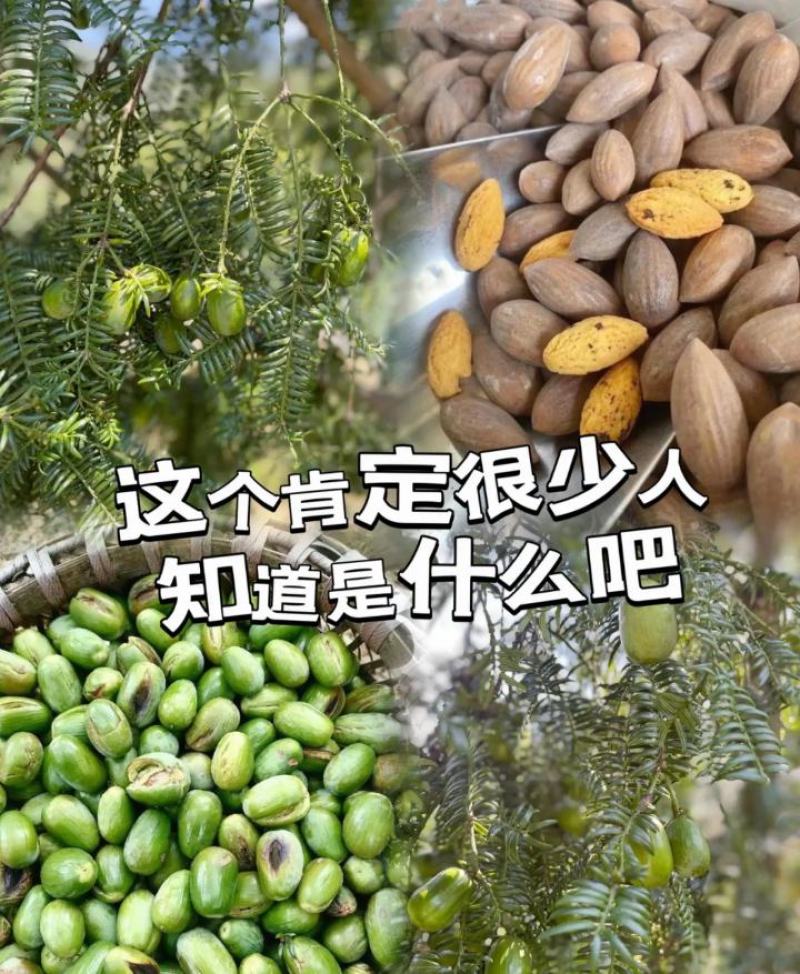 有需要的老板可以联系