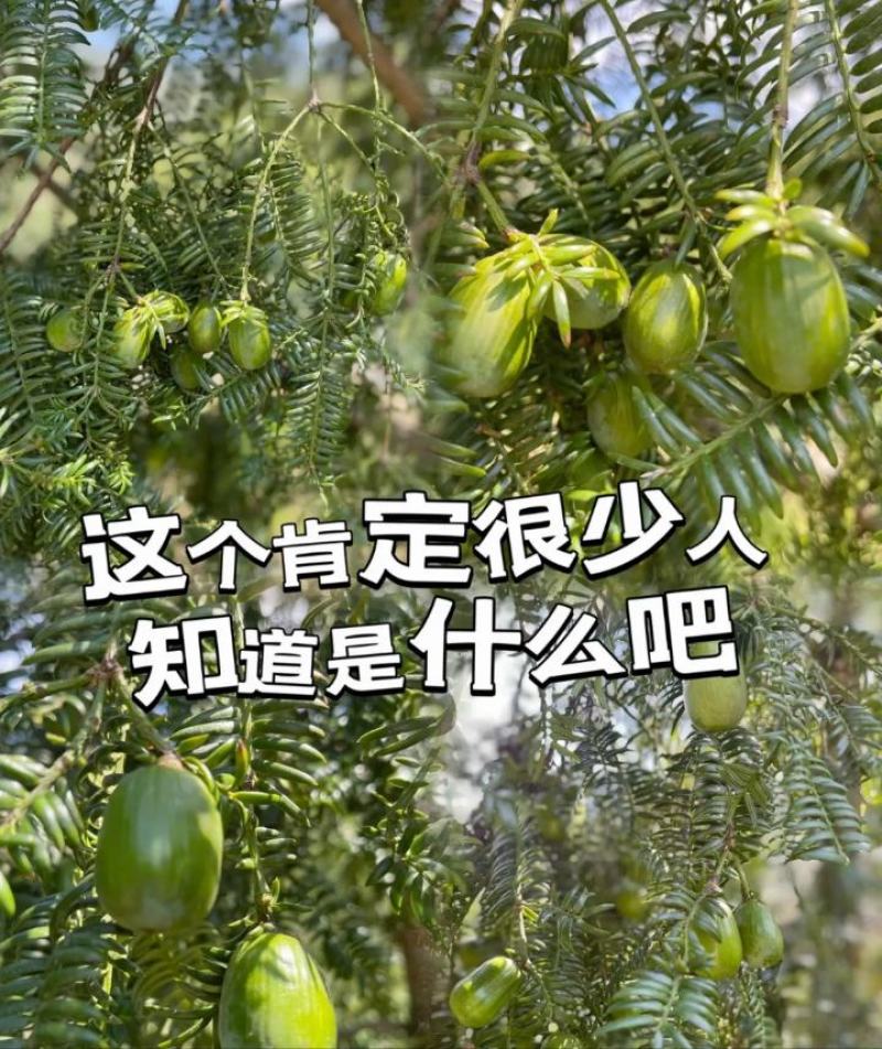有需要的老板可以联系