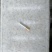 冻银鱼，银鱼冻板，冷冻银鱼，